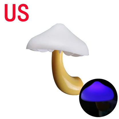 S9f81a3bcf852435c8c65d596ad171335S